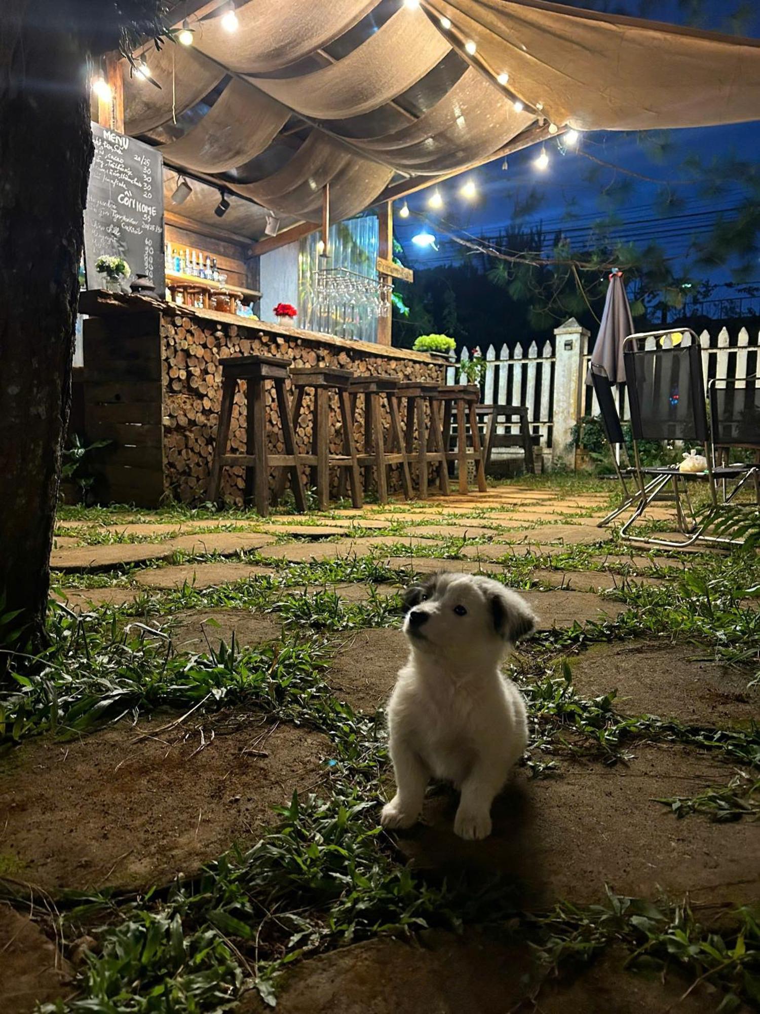 Chino Homestay Mang Den - Villa Tai Mang Den Kon Tum Exterior foto